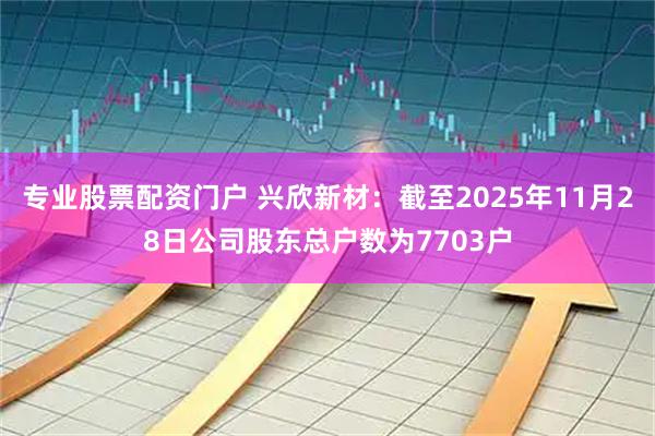 专业股票配资门户 兴欣新材：截至2025年11月28日公司股东总户数为7703户
