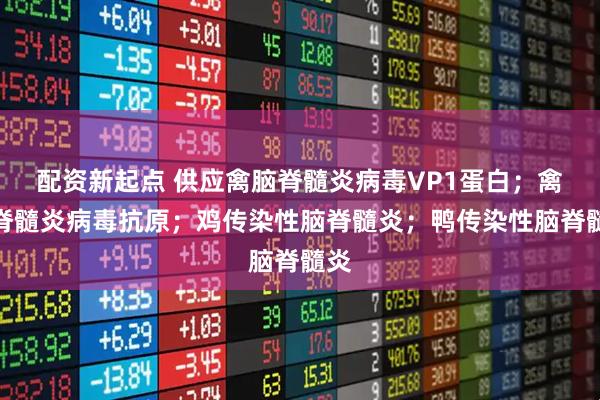 配资新起点 供应禽脑脊髓炎病毒VP1蛋白；禽脑脊髓炎病毒抗原；鸡传染性脑脊髓炎；鸭传染性脑脊髓炎